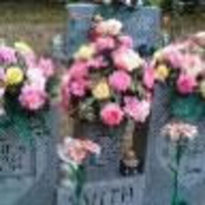 Meet your Posher, Wanda